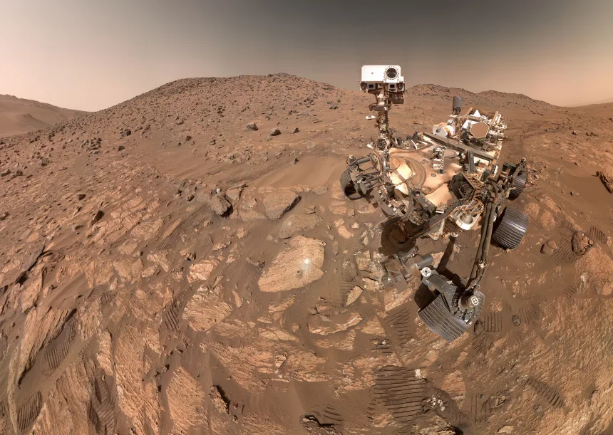 Rock discovery contains